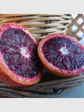 Kan Portakalı Red Smith Fidanı (100-150cm)