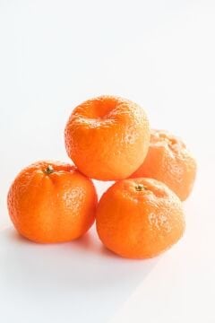 Kishu Mandalina Fidanı – Çekirdeksiz Japon Mandalinası