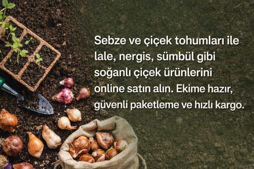 Tohum & Soğanlı Ürünler