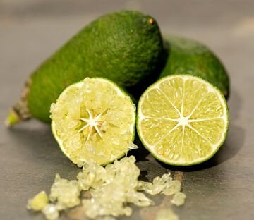 Yeşil Havyar Limon - Finger Lime (100-120cm)