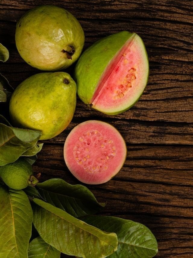 Kırmızı Guava Fidanı (Psidium guajava ‘Red’)