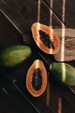 Papaya Fidanı | Tropikal Meyve