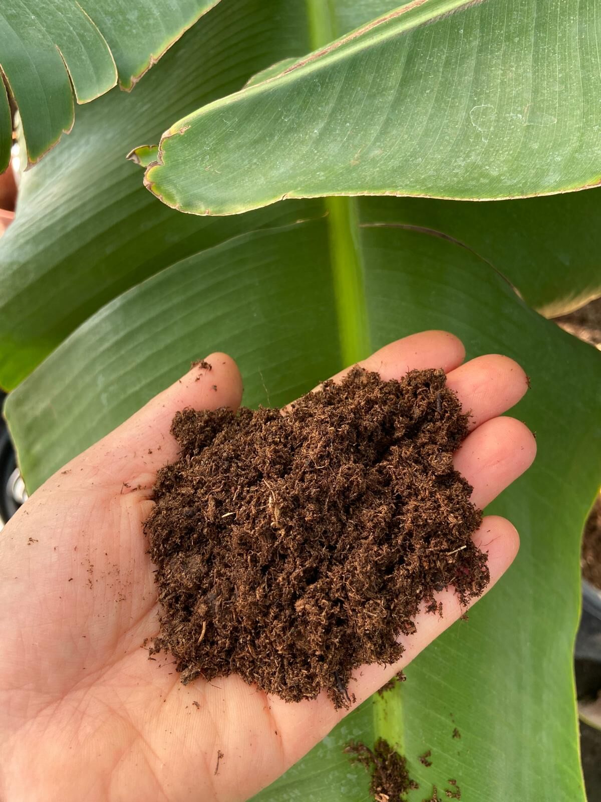 İthal Torf 40L – Hazır Fide ve Çimlendirme Toprağı