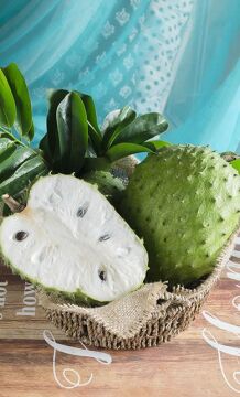 Graviola Fidanı – Annona muricata (Tarçın Elması)