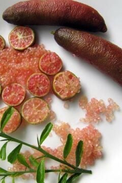 Pink ice Havyar Limon Fidanı