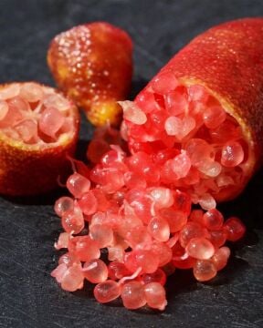 Finger Lime – Ricks Red Fidanı (Kırmızı Parmak Limonu)