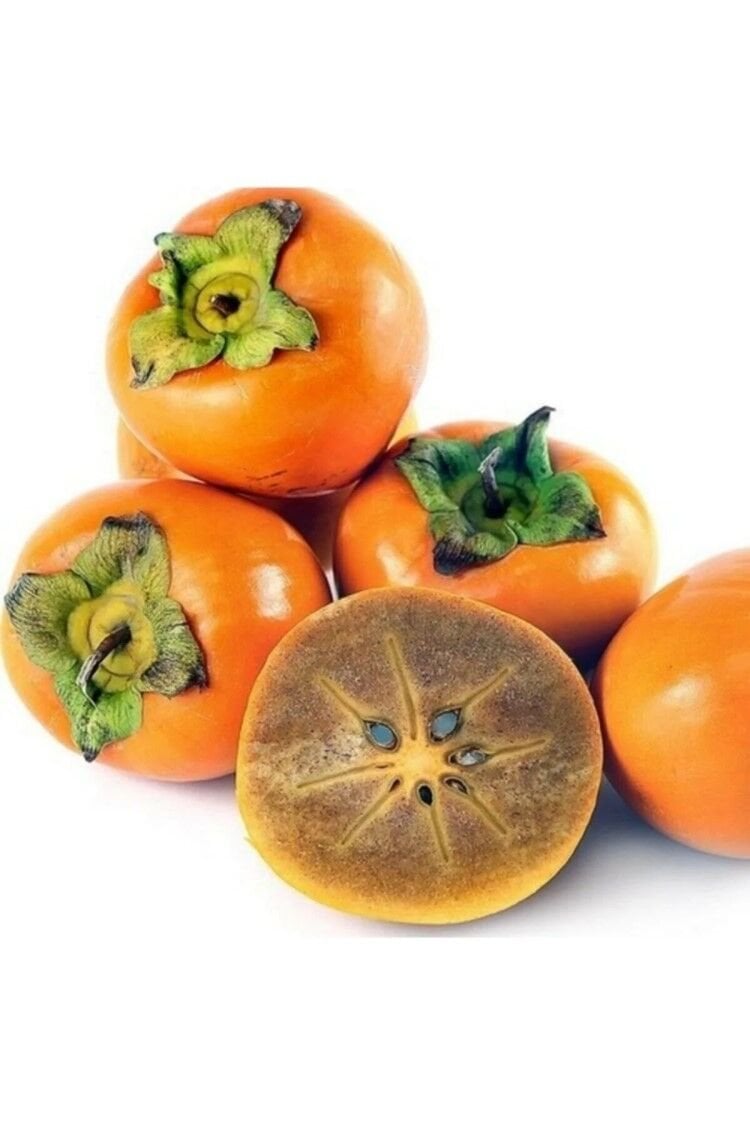 Hachiya Hurma Fidanı (Diospyros kaki)