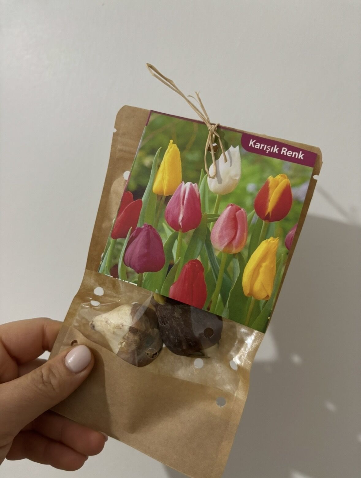 Karışık Lale Soğanı – 3’lü Set