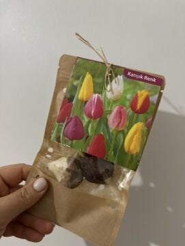 Karışık Lale Soğanı – 3’lü Set